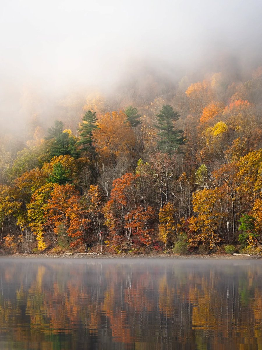 Finger Lakes Travel tweet media