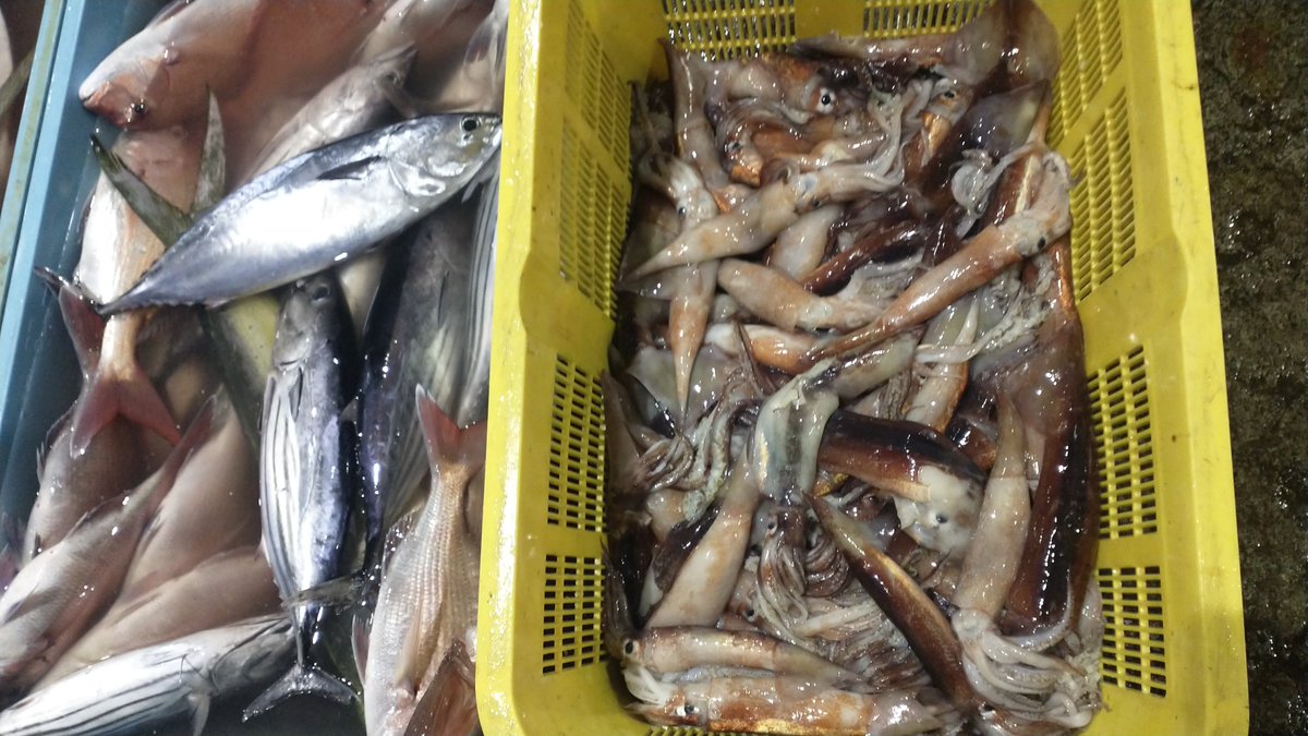 manazurugyokyo's tweet image. 旨そう😋