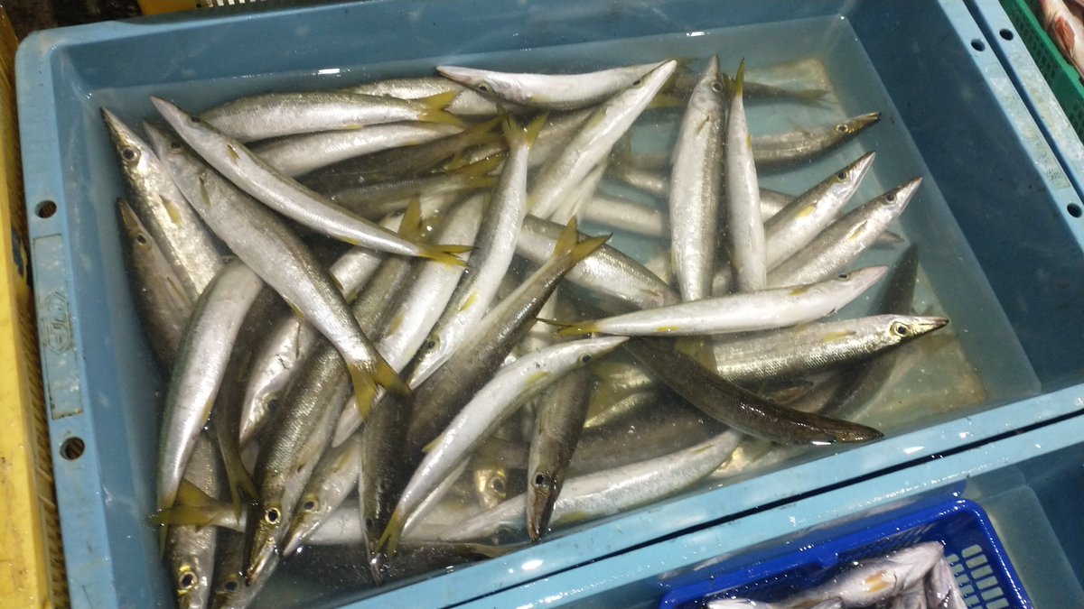 manazurugyokyo's tweet image. 旨そう😋