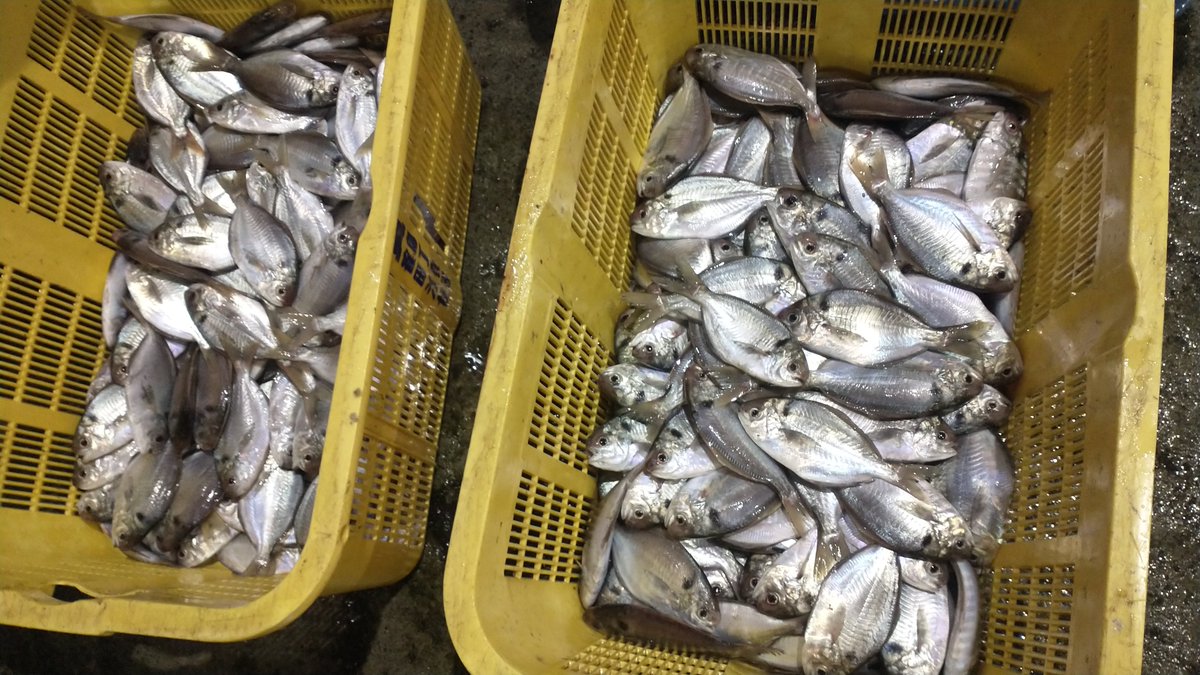 manazurugyokyo's tweet image. 旨そう😋