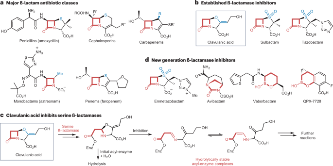 NatRevChem's tweet photo. Small but powerful https://t.co/SCsWQm9LXt 🧪 https://t.co/57k9QUs1PS