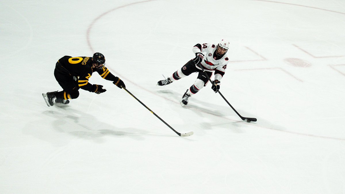 Omaha Hockey tweet media