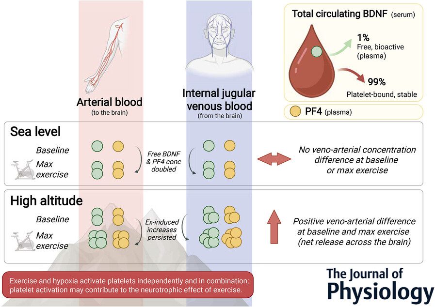 Kate Thomas tweet media