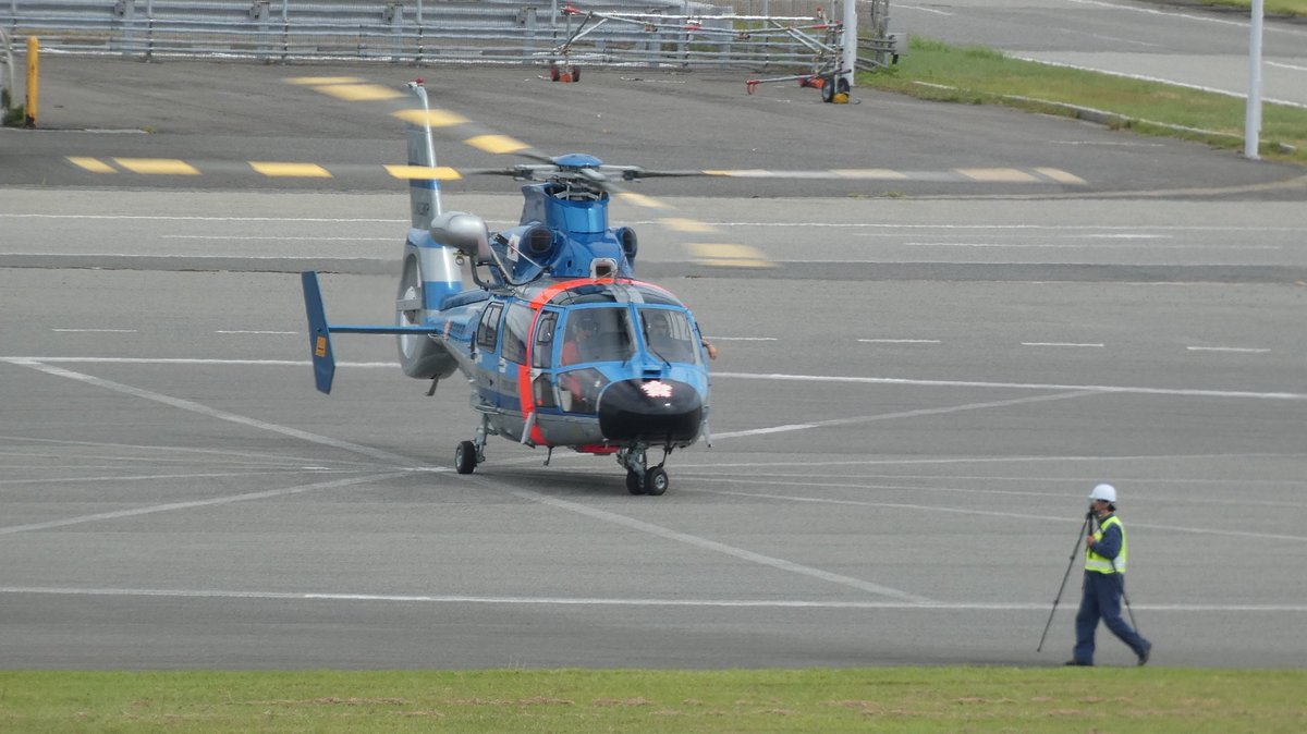 #ドーファンを愛でる会