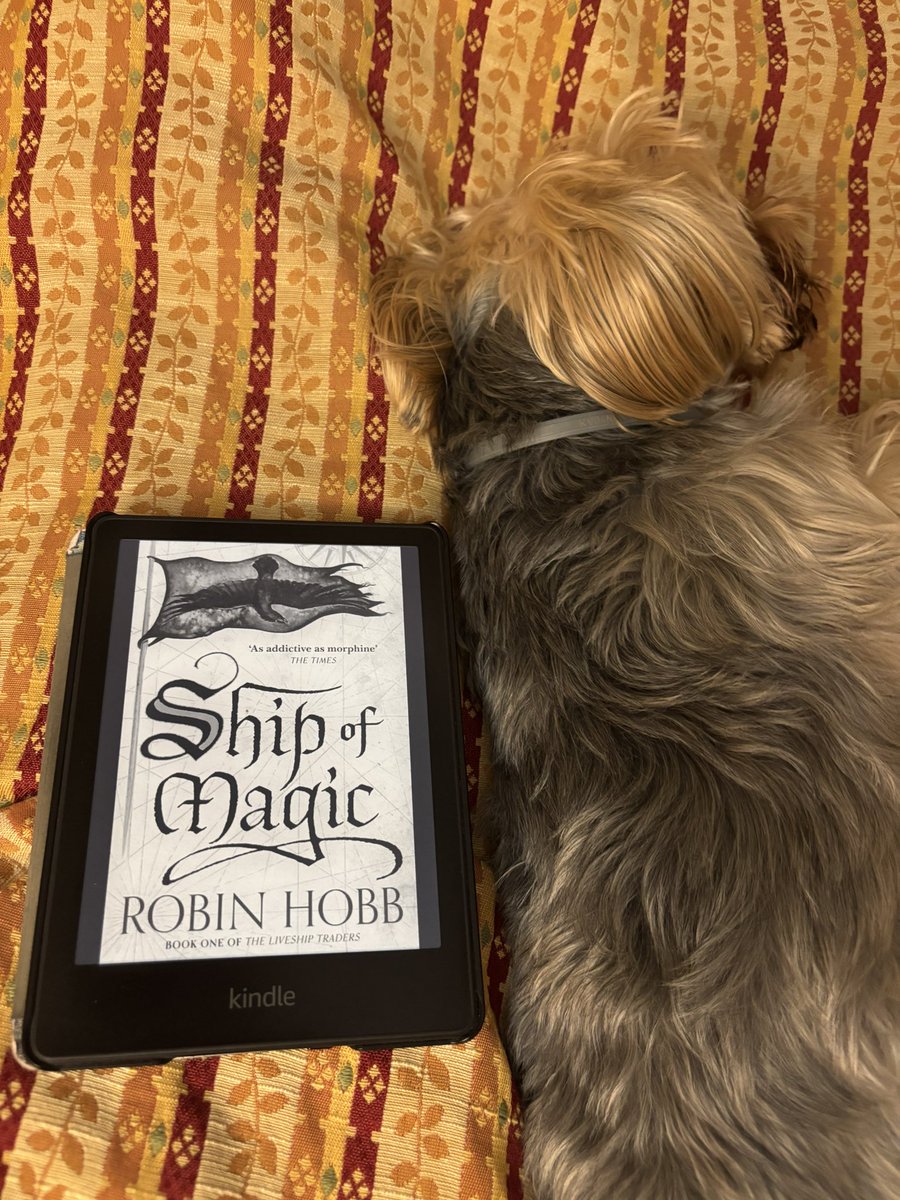 Here we go <a href="/librukie/">Carolina 📚</a>