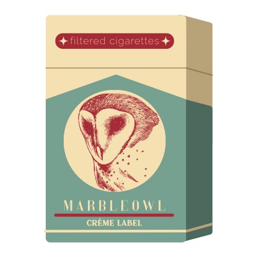 the inspo vs the intrusive thoughts design i whipped up in canva