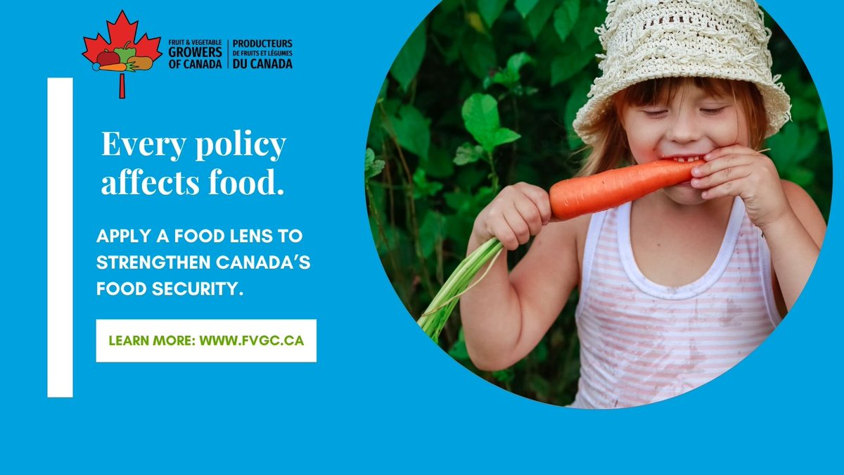 🛠 Strengthening Canada’s fruit and vegetable sector means strengthening food security for every Canadian.

Today, FVGC is calling for a federal #budget built through a food lens—one that supports growers, sustains communities, and secures Canada’s food future.

📄 Learn more: