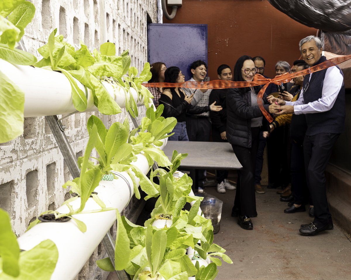 enp_unam's tweet photo. #NotiPrepas 🪴🌵
Se inauguró en #Prepa7 el proyecto “El invernadero como herramienta para el desarrollo de habilidades científicas del bachillerato en el área de la Biología”, que busca fomentar la conciencia ambiental en estudiantes. https://t.co/7QtcFfIwIx