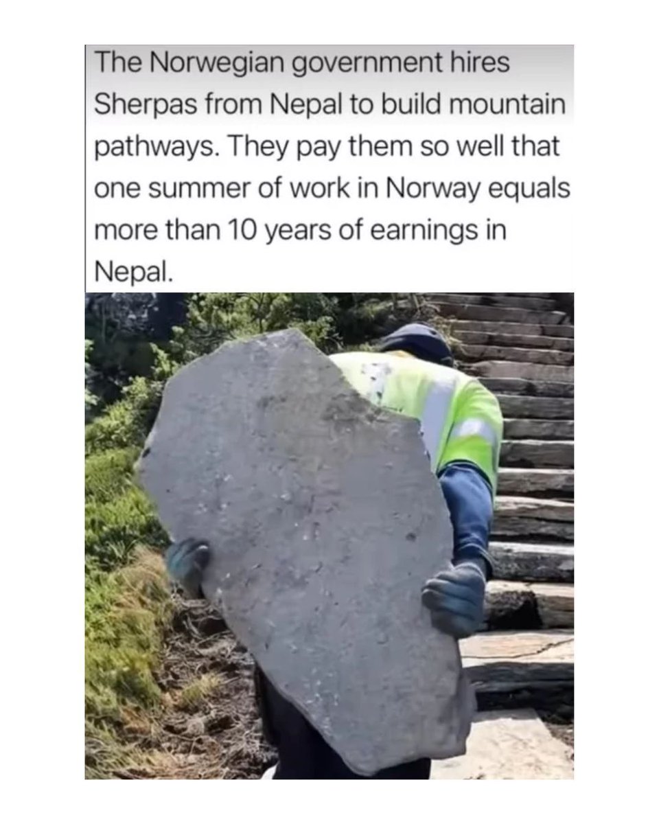 I need to be a Sherpa #sherpas #memes #nepal #norway #funny