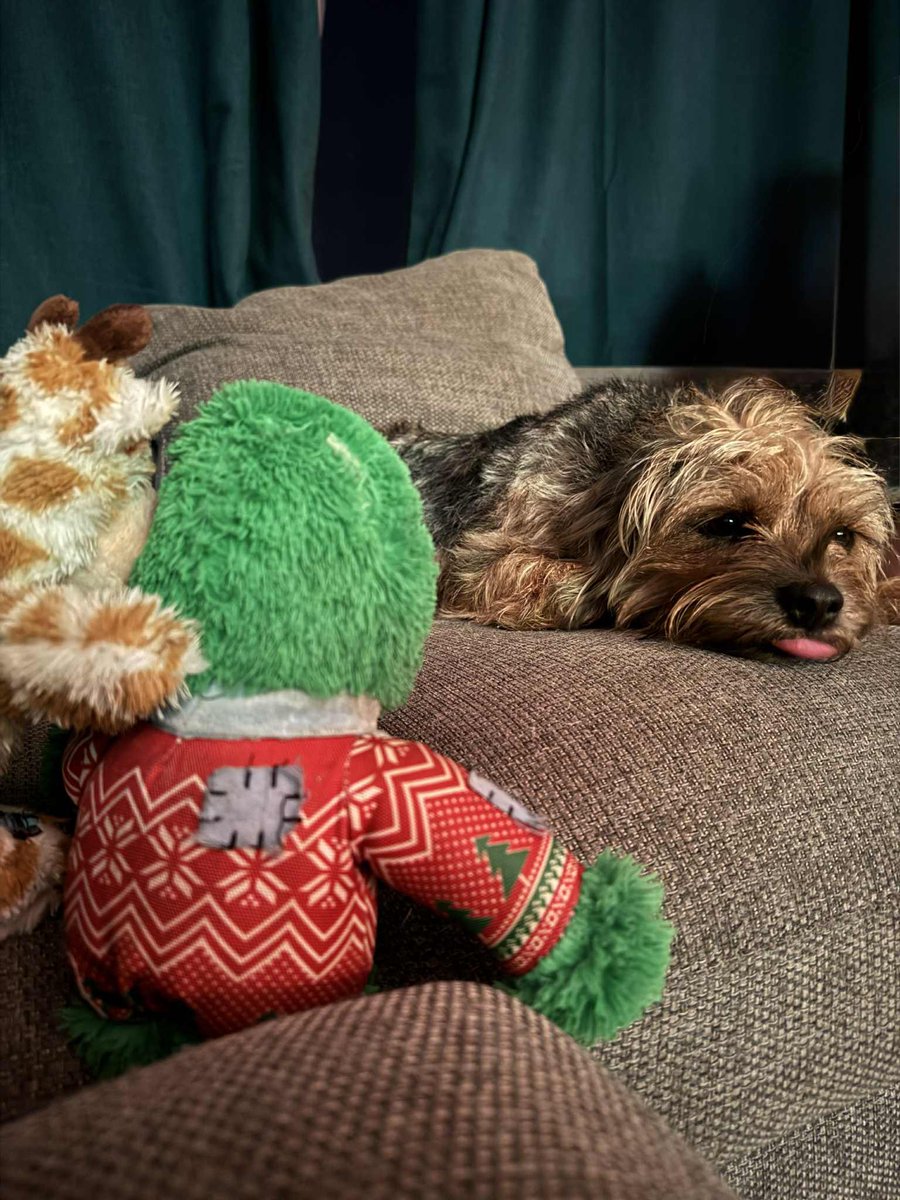 Miss Scraggy Agnes tweet media