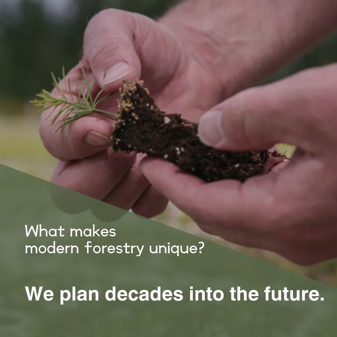 WAWorkingForest's tweet photo. WA #workingforests are dedicated to ensuring future generations can enjoy the benefits of healthy, well-managed, resilient forests. That is why WA's forestry sector plans decades into the future, incorporating science-backed research &amp; guidance from trained experts. https://t.co/bRjIkLAkgP