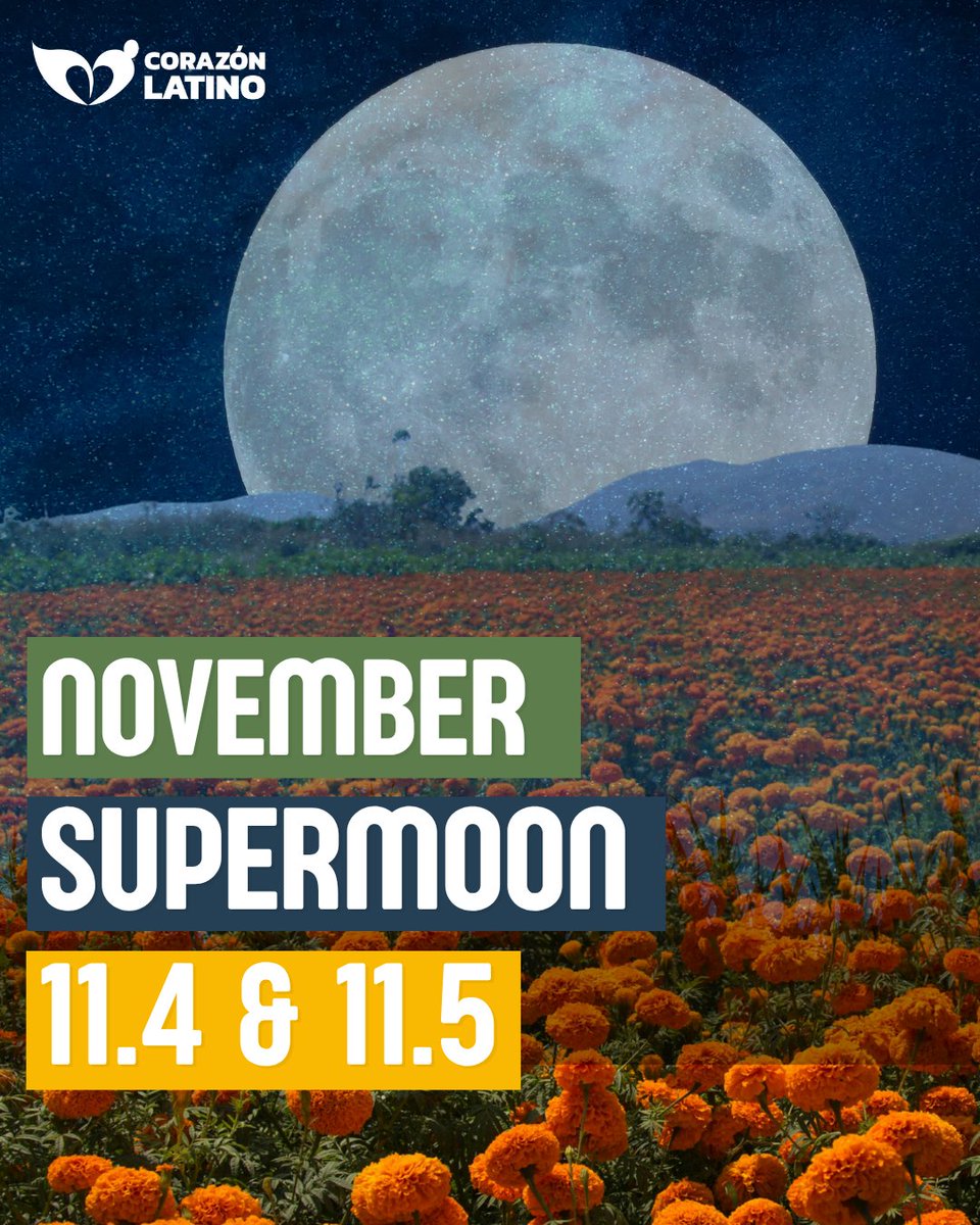 corazon_latin's tweet photo. Look up and reconnect with the world around you, from changing trees and evolving skies to rare moments like this that light up the night. ✨ Don’t miss the November Supermoon tonight &amp; tomorrow! #nature https://t.co/aFtjYK6GF3