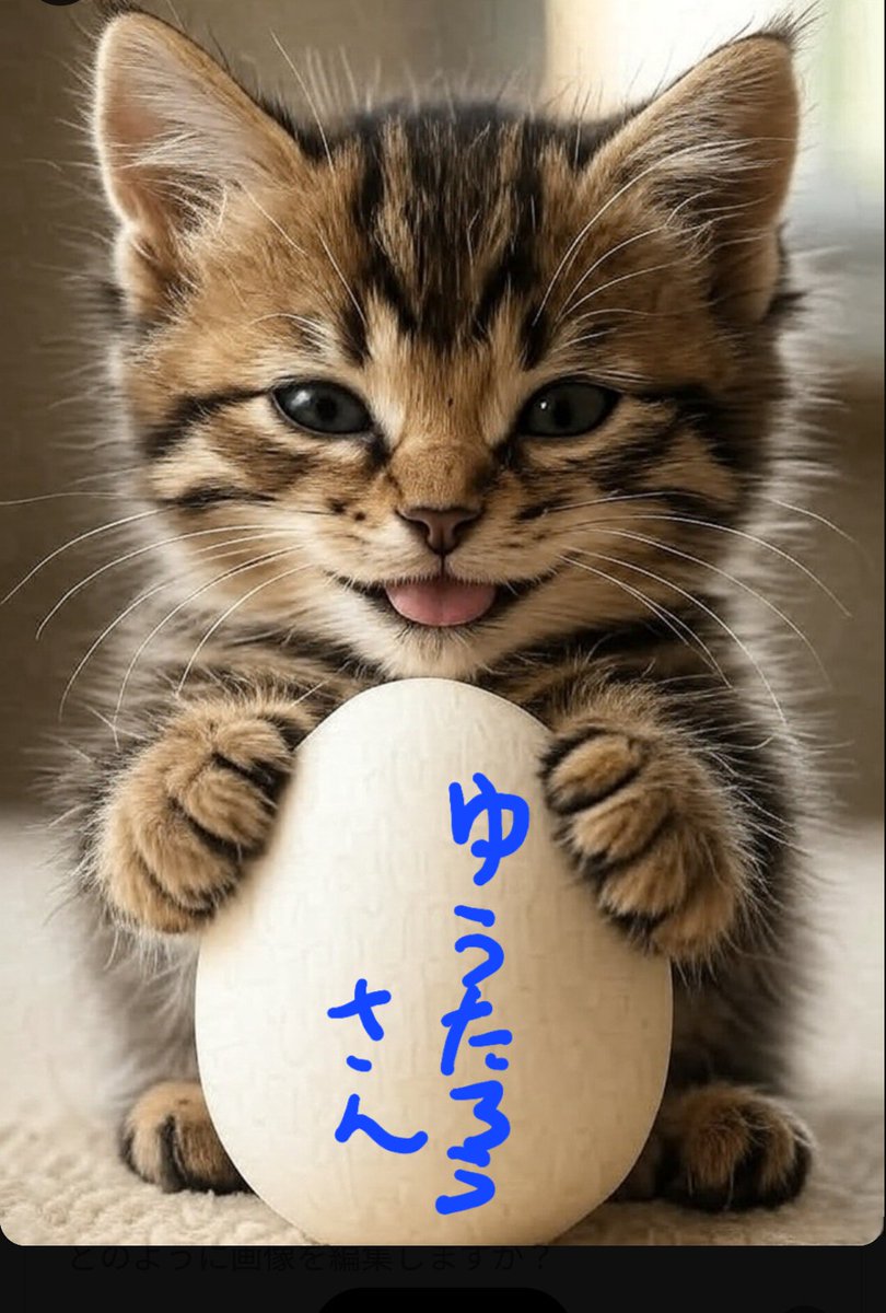 ちょこふらっぺ🐱 on X