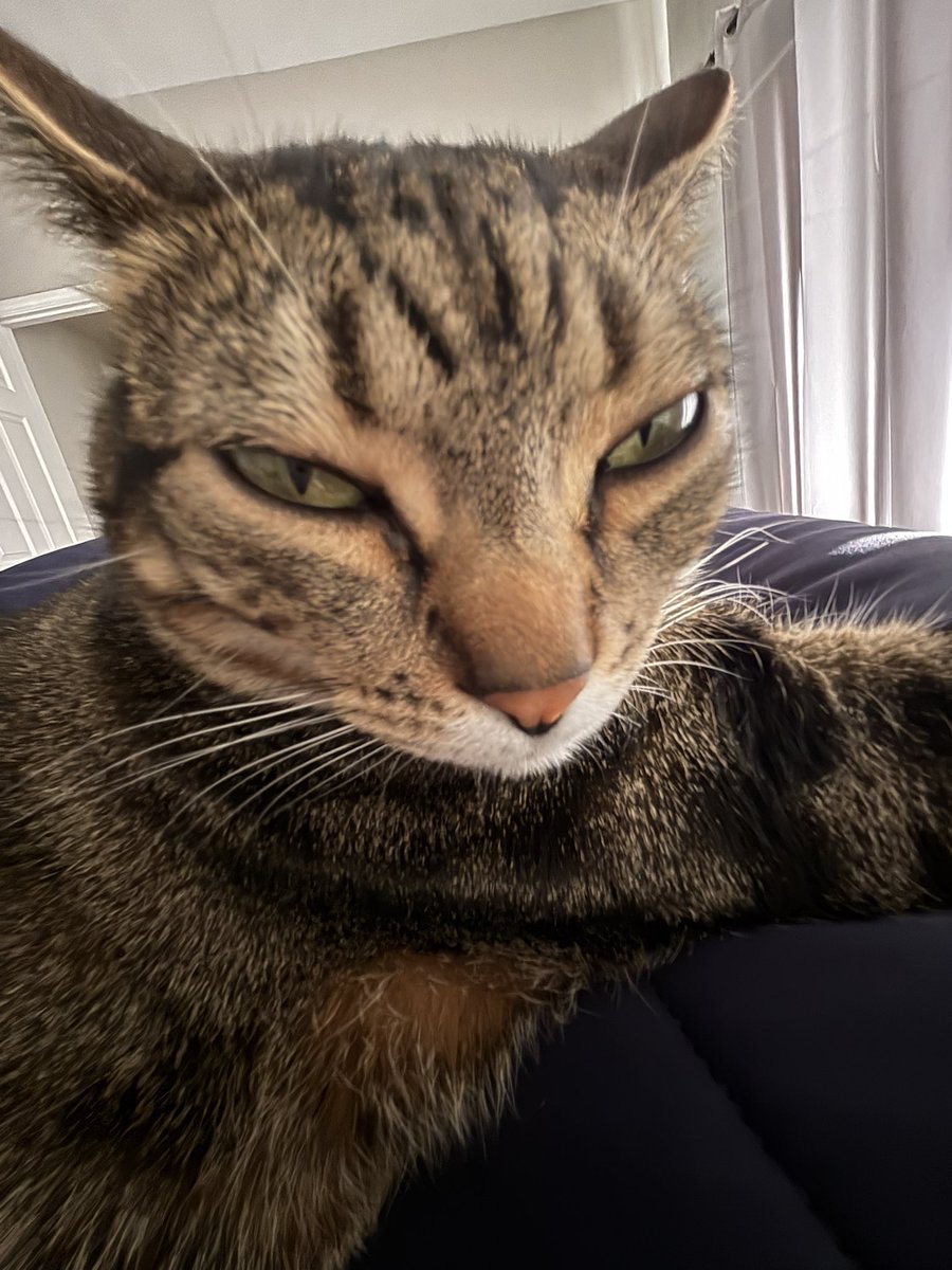 beautiful idiot               terrifying demon