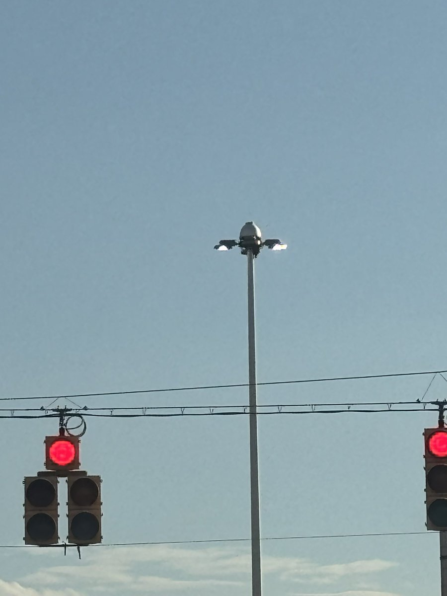 JayyWhack's tweet photo. Lmaoo I’ve been playing too much arc raiders i literally thought this was a wasp irl🤣🤣🤣 #ArcRaiders https://t.co/Vz3KLK7gcB