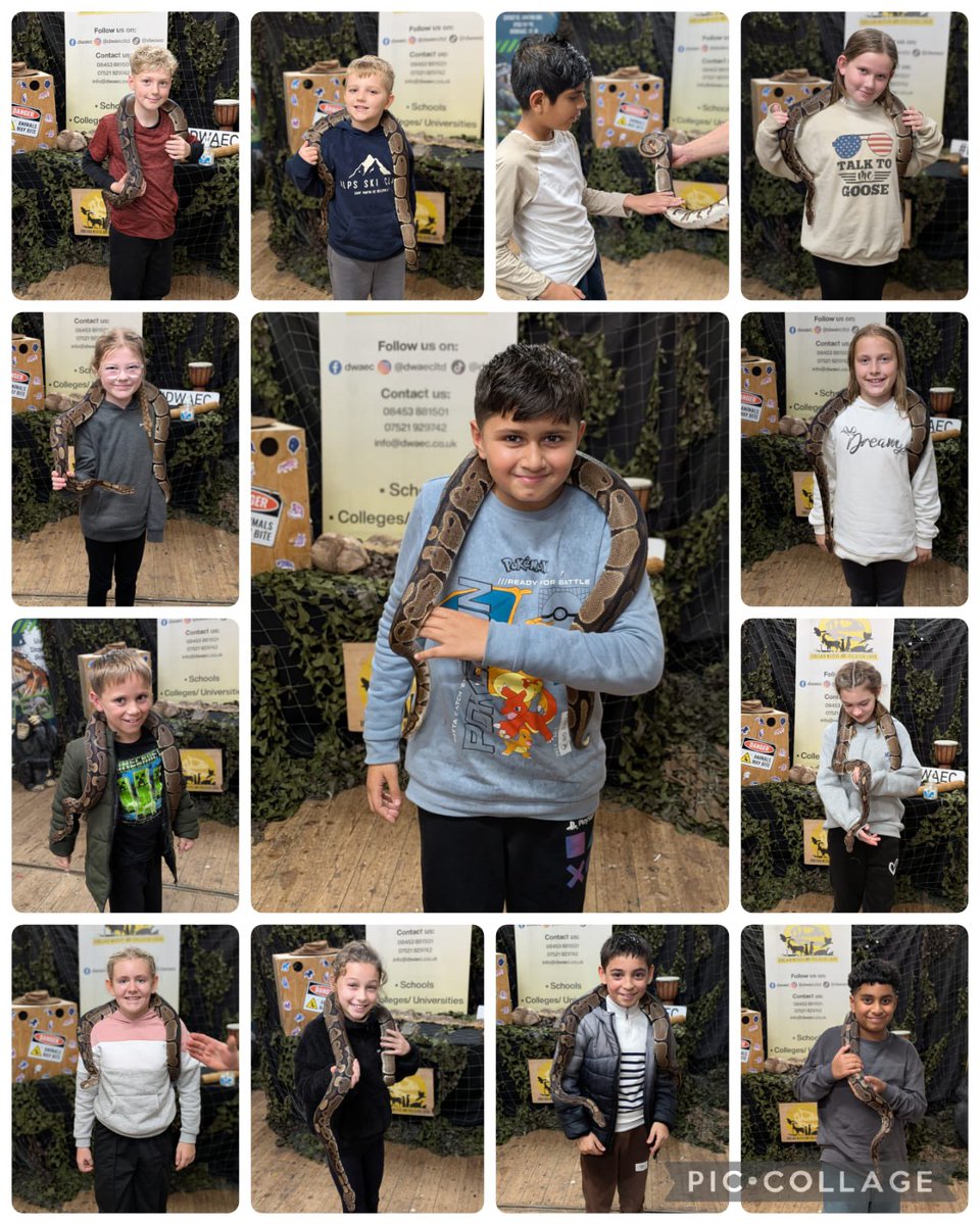 Riversideps1's tweet photo. ✨Fantastic and Fearless✨ 
These furry friends were a highlight of our day for groups 1,2,3 and 4 https://t.co/QXdjYw1EtI