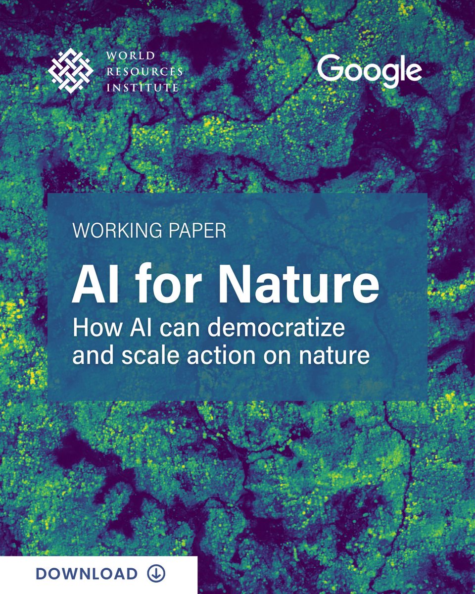 landcarbonlab's tweet image. 🛰️ AI is reshaping how we see &amp;amp; understand the planet.

@WorldResources &amp;amp; @Google’s new “AI for Nature” paper, co-authored by @landcarbonlab experts, explores how AI can help close the gap between environmental data &amp;amp; real-world action.

📘 bit.ly/3LkXzIN

#AIforNature