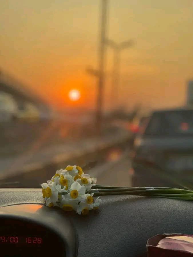 حاملة المسك tweet media