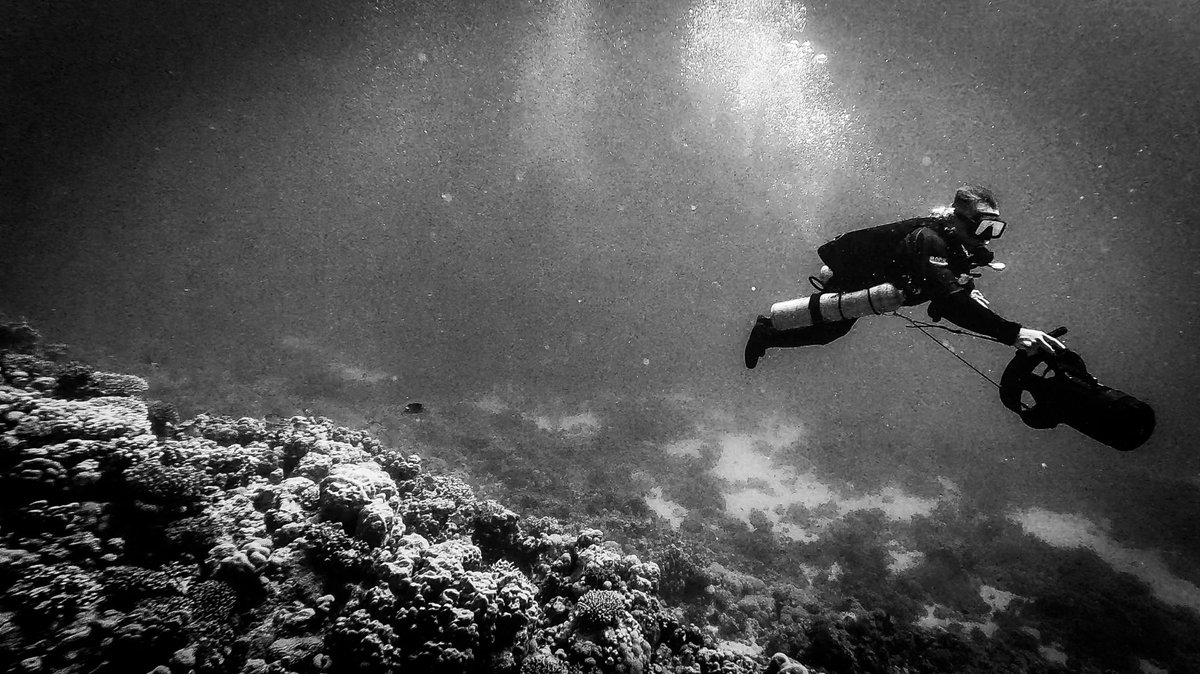 …
Lubię ten stan  
Rozkoszne sam na sam  
Cisza i ja  
Cisza, ja i czas  
…