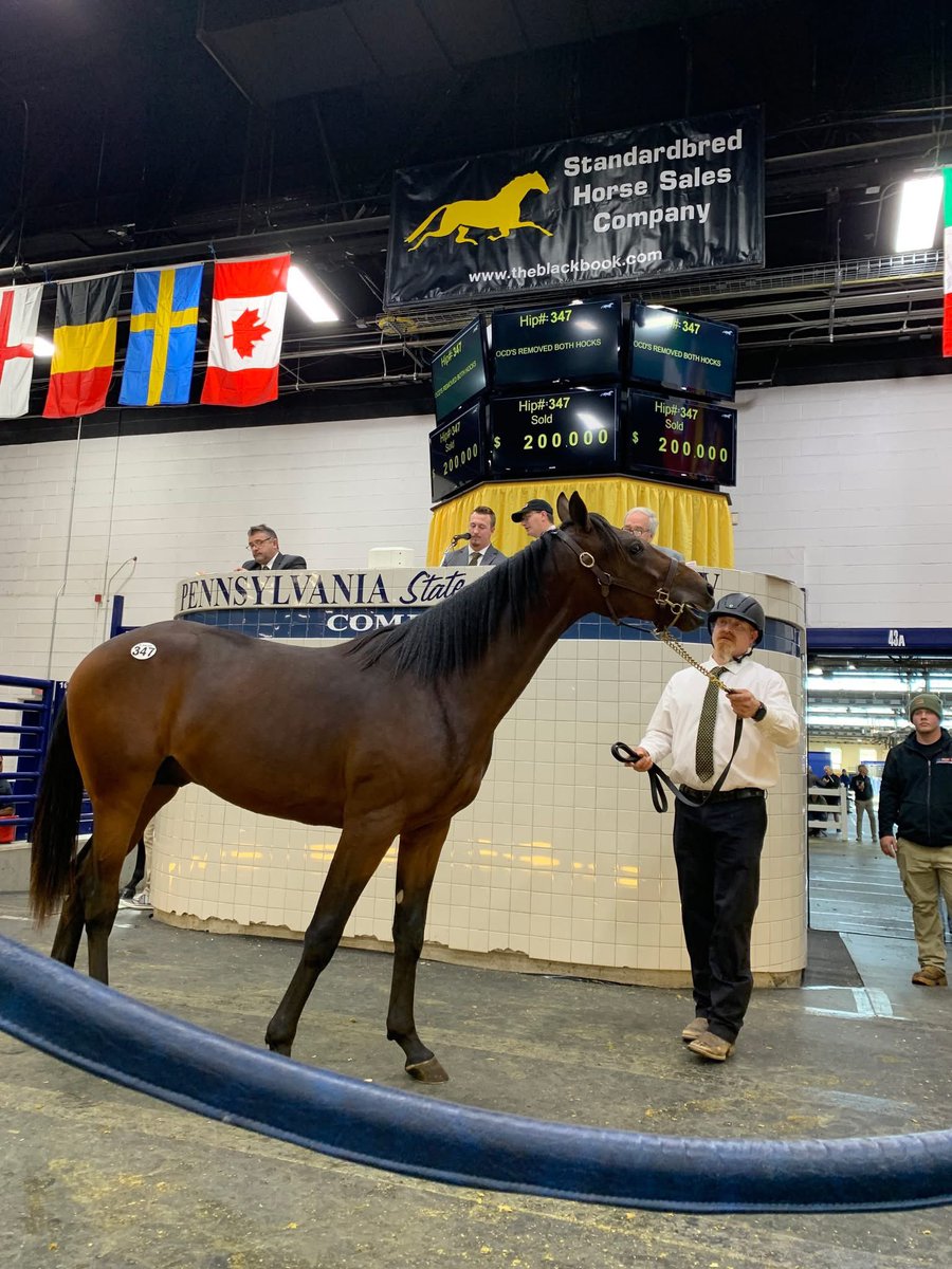 𝗔 𝗯𝗶𝗴 𝗿𝗲𝘀𝘂𝗹𝘁 𝗳𝗼𝗿 𝗣𝗲𝗯𝗯𝗹𝗲 𝗕𝗲𝗮𝗰𝗵!

Brett Pelling goes to $200,000 to secure this colt from the debut crop of Pebble Beach.

The colt is out of the Western Terror mare Square Dancer.