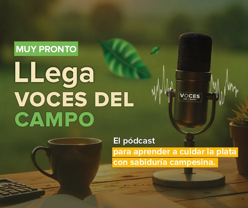 🌳El campo vuelve a tener la palabra.

Acción Cultural Popular - ACPO  lanza Voces del Campo, un pódcast que rescata los saberes campesinos y los lleva a las nuevas ondas digitales. 🧑‍🌾 Historias, aprendizajes y consejos prácticos para cuidar la plata, fortalecer la economía