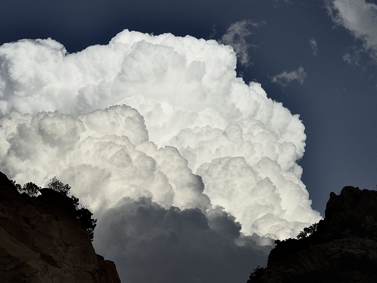 ultramarineil's tweet image. a clearer ver ☁️