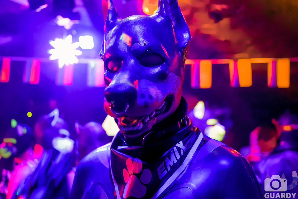 Just a cool remember of the first party of TheSouthWolf on Instagram

📸 by <a href="/GuardyFurry/">Guardy_AD</a> 

#latex #rubber #rubberfur