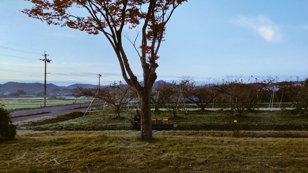 ぴっぴページ ぴっぴ901 on X