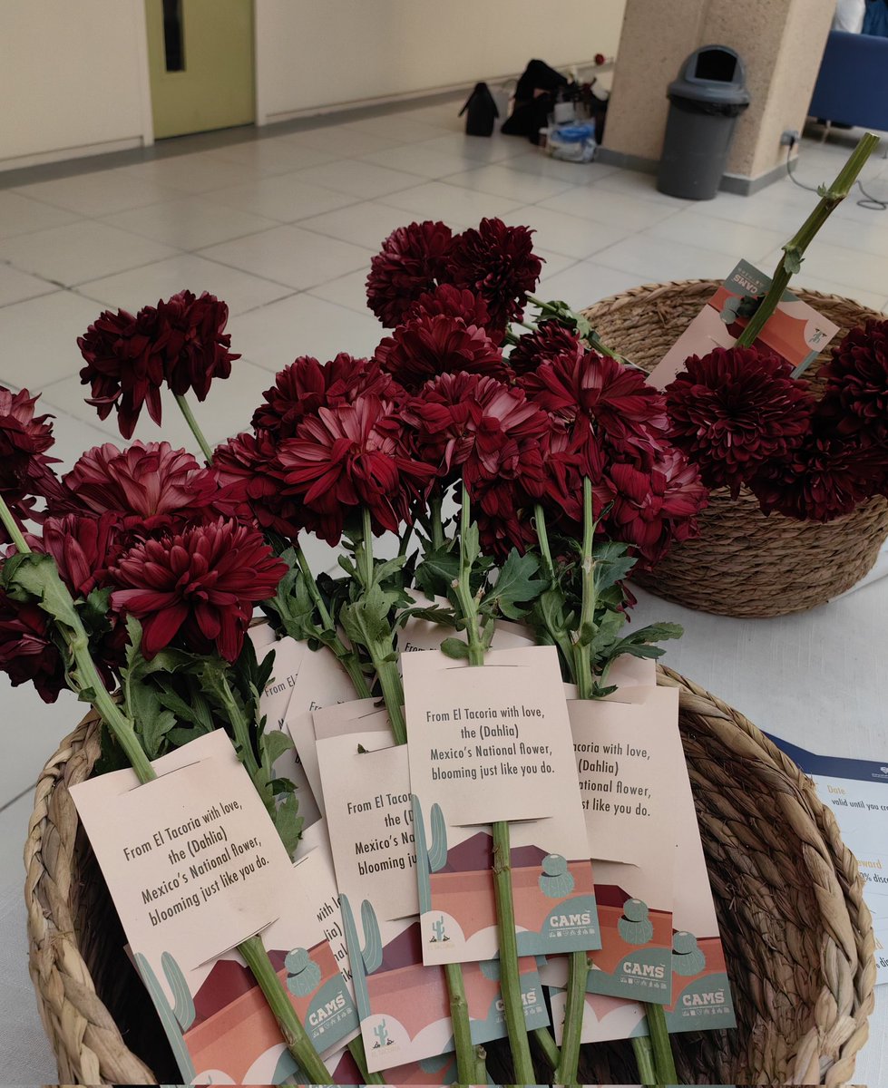 من أول خطوة إلى يوم العرض، كانت التجربة بكل تفاصيلها إستثنائية ما تنسي 🌎🤍.. #كامز_حول_العالم