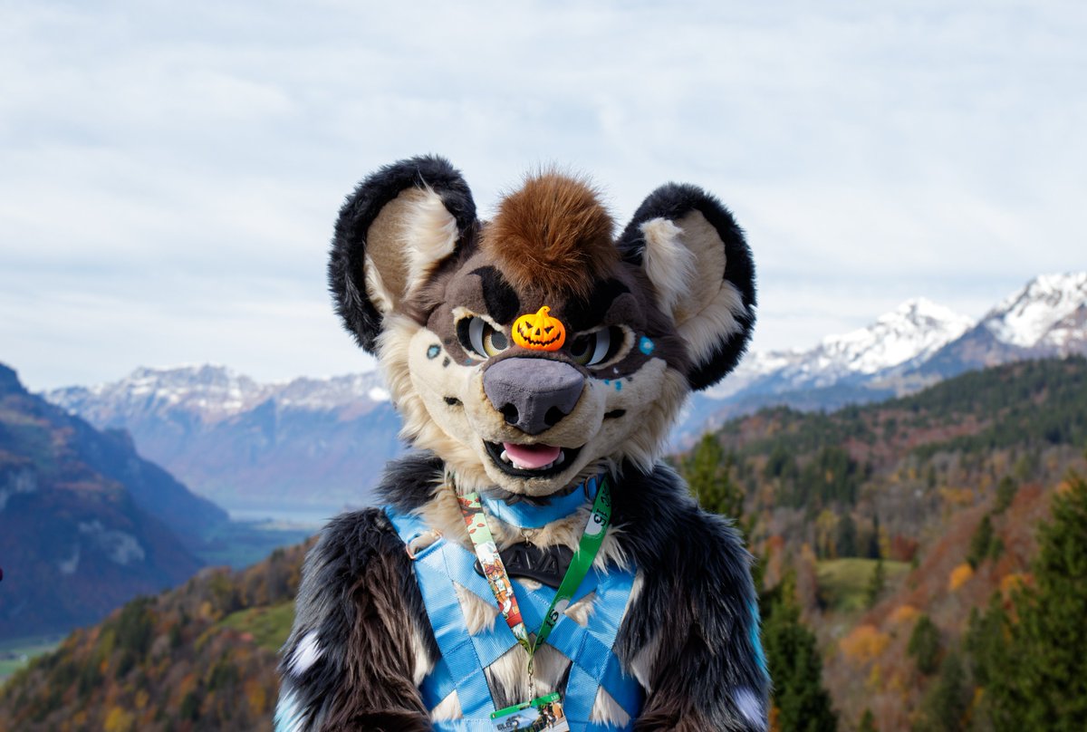 Kawa 🇮🇹 🔜 NFC tweet media