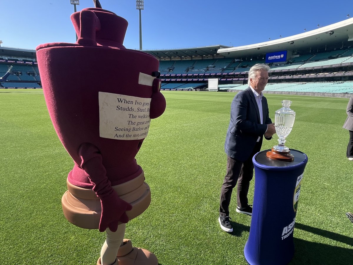 David Mark tweet media