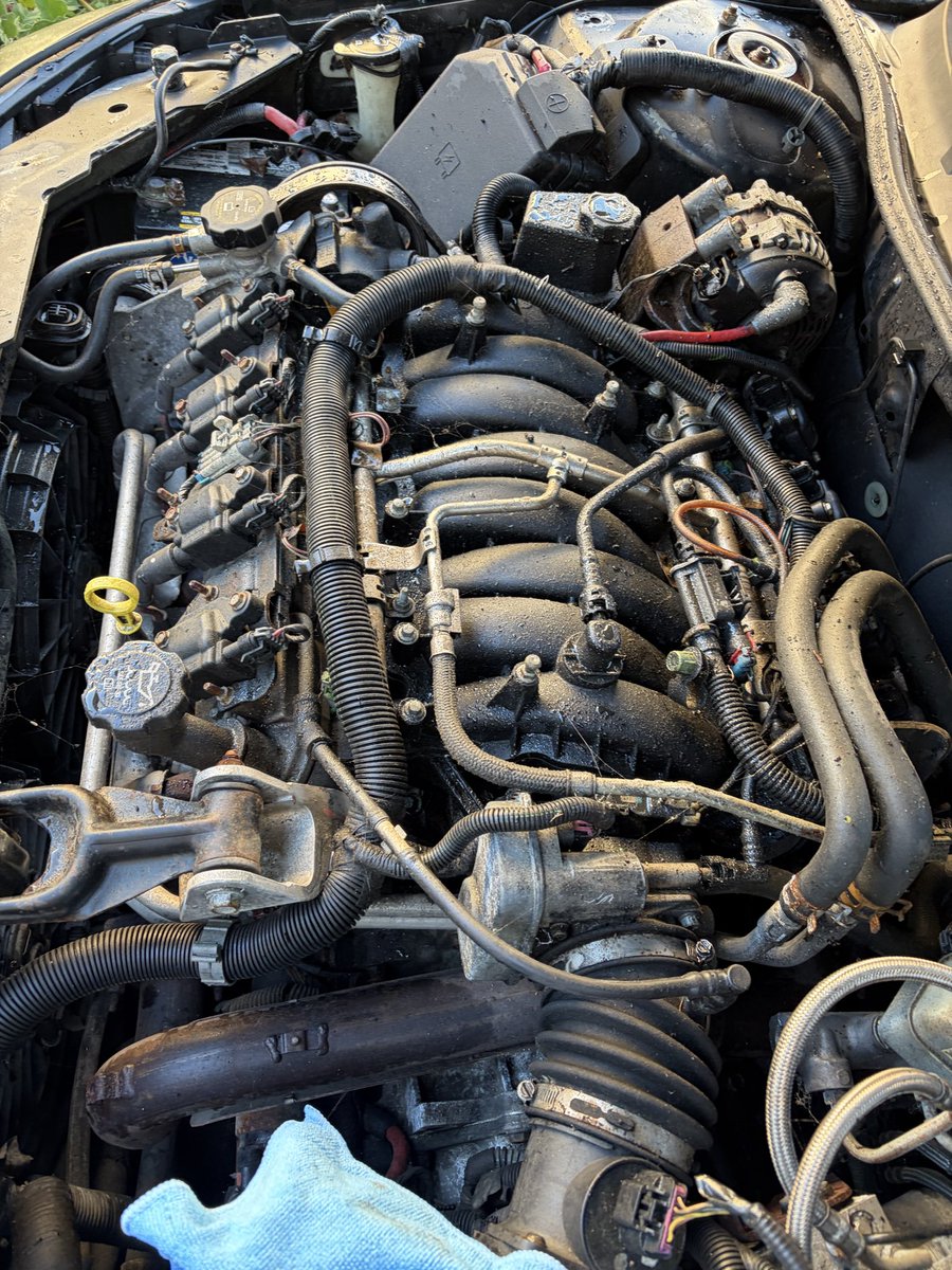 asonofabeach609's tweet image. GM put this perfectly good 5.3 LS in sideways 🤔 #project #LSX #LSFour 
Eating M&amp;amp;Ms and considering my options 😬