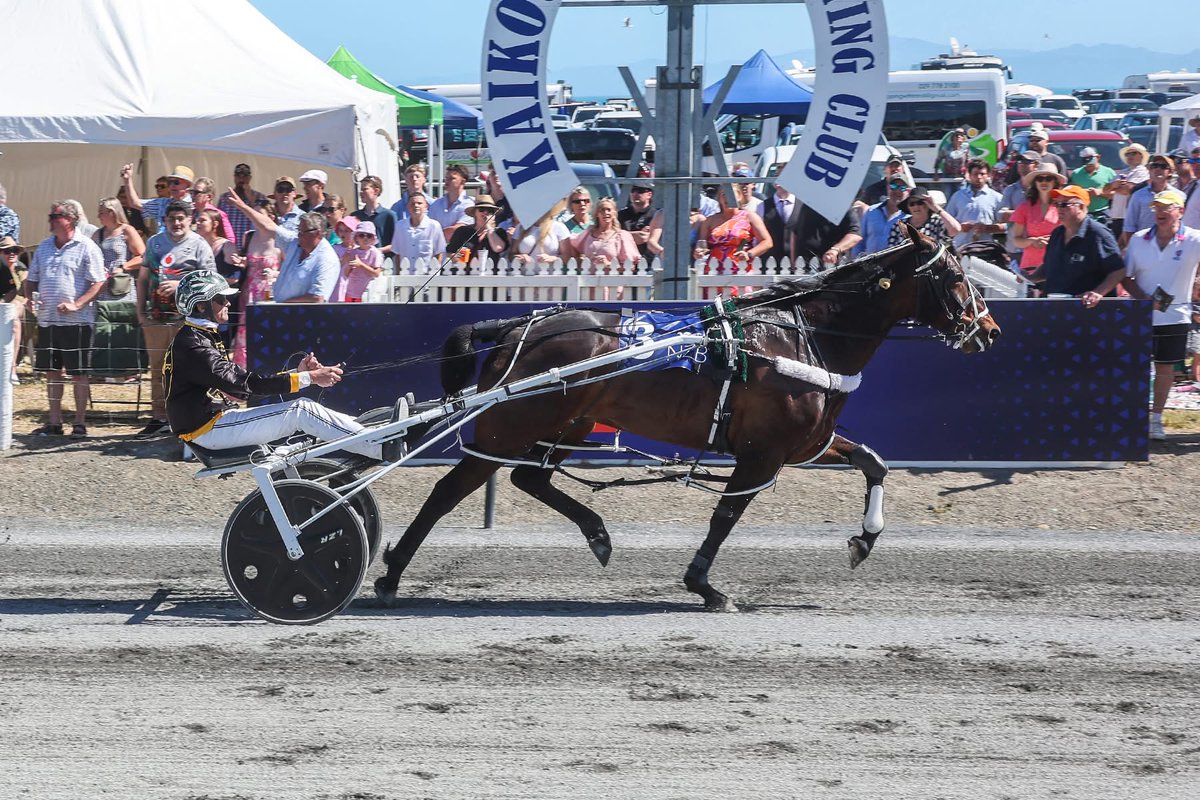 The Lazarus Effect (NZ) (Lazarus) continues to go from strength-to-strength, with the four-year-old gelding breaking through for his first stakes victory in the Listed NZB Standardbred Yearling Sales Aged Classic (2400m) at Kaikoura on Monday. 🎉🏆

The Bob Butt-trained and