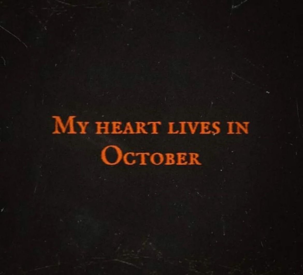 𝑙𝑖𝑡𝑡𝑙𝑒 𝑚𝑜𝑜𝑛 ⏾ tweet media