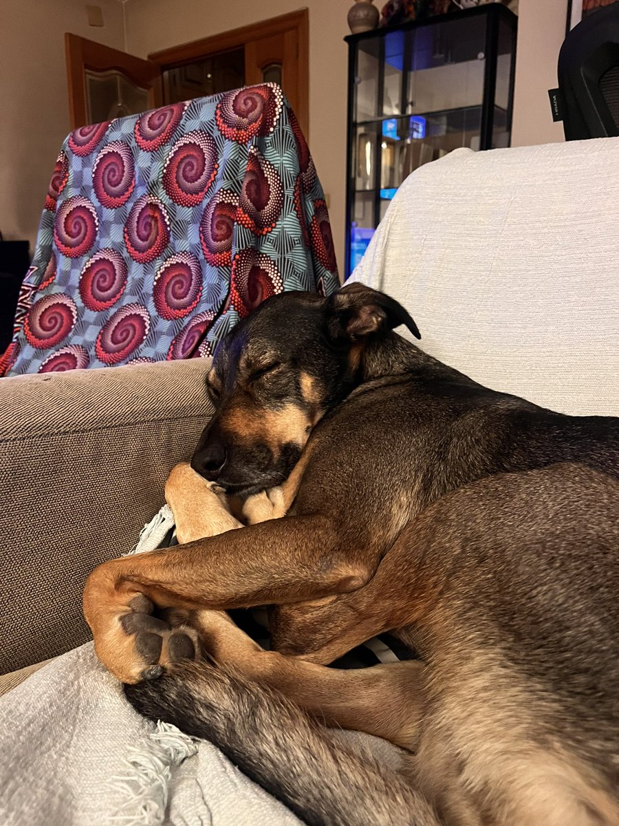 Quien quiero ser de mayor.