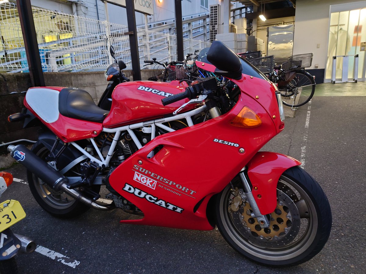 アキラレインボー アキラレインボー アキラレインボー 株式会社ケンコー社