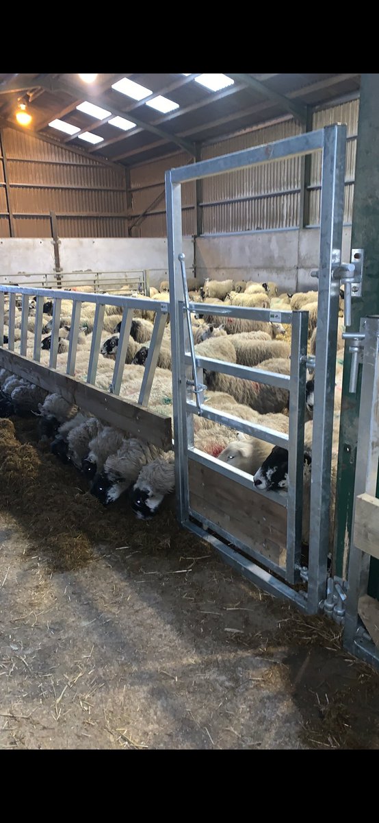 Tim Gowling tweet media