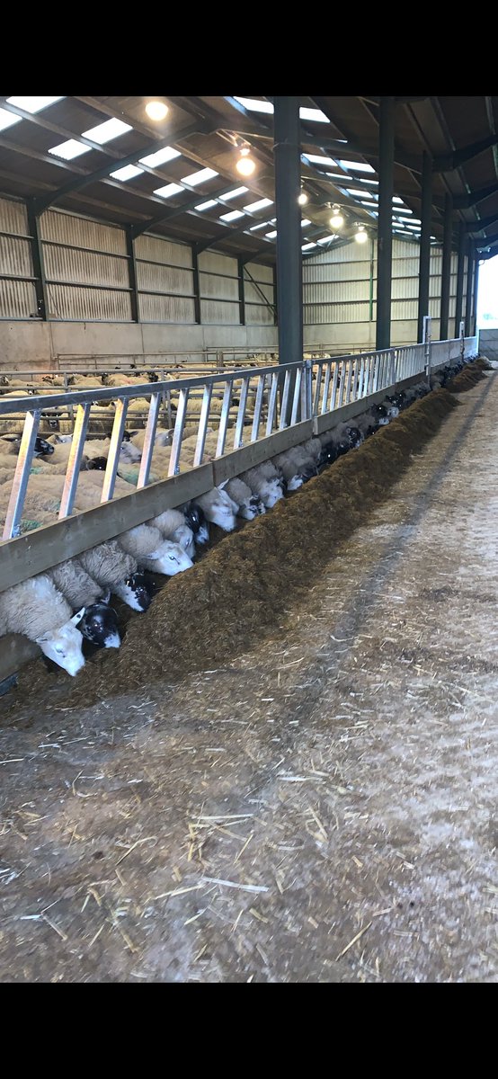 Tim Gowling tweet media