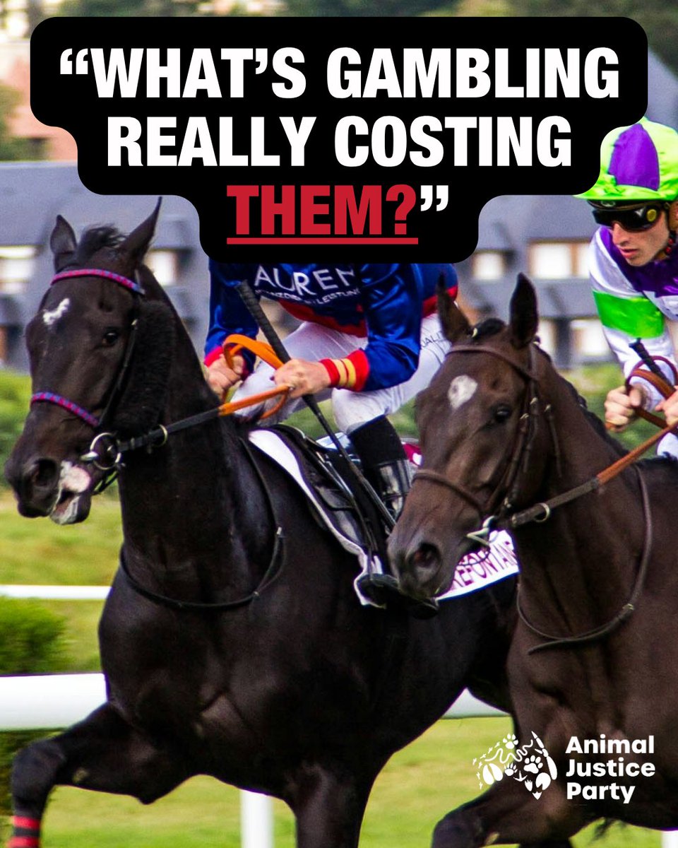 IT'S WRONG TO HARM ANIMALS FOR ENTERTAINMENT.

Like and share if you agree.

#MelbourneCup #HorseRacing #AnimalCruelty #AnimalWelfare #Gambling #Horses #Animals #NuptotheCup