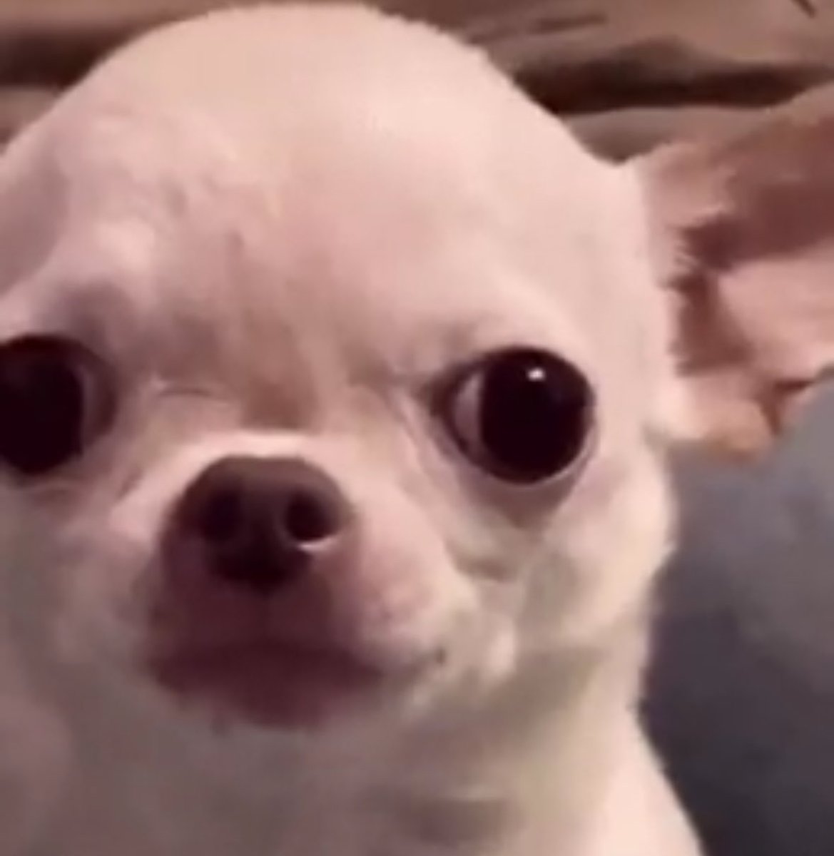 vlad (@rambybamby) on Twitter photo 