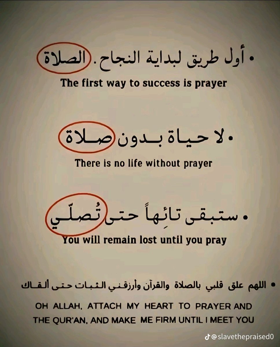 أحفاد * بني * أمية * (@abdulha98236175) on Twitter photo 