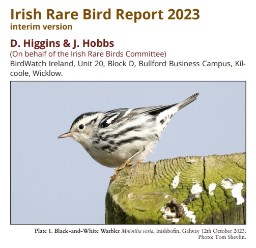2023 Irish Rare Bird Report (interim version) now on the IRBC website bit.ly/2023IRBRinterim

Please send amendments/feedback to provisionalList@irbc.ie

Booted Eagle, Falcated Duck, Cabot's Tern, Penduline Tit, Blackburnian Warbler and Cape May Warbler added to the Irish List.