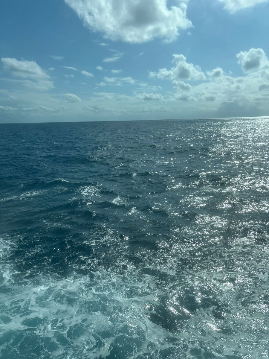 whoHambo's tweet image. Guess it’s time to become a crypto KOL 

We’re bottomed and I’m not stabling without an alt szn 

Mark my words boys 

Next level quant in the making