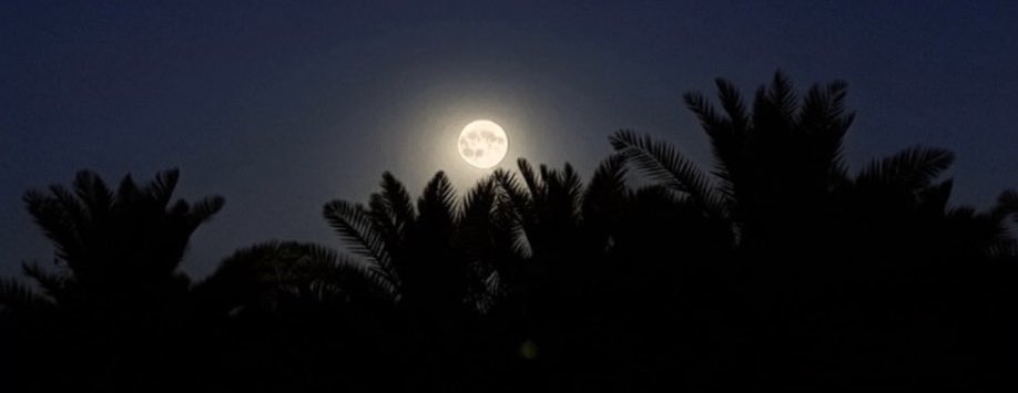 أروى tweet media