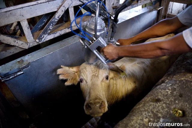 sibaburck's tweet image. She disagrees