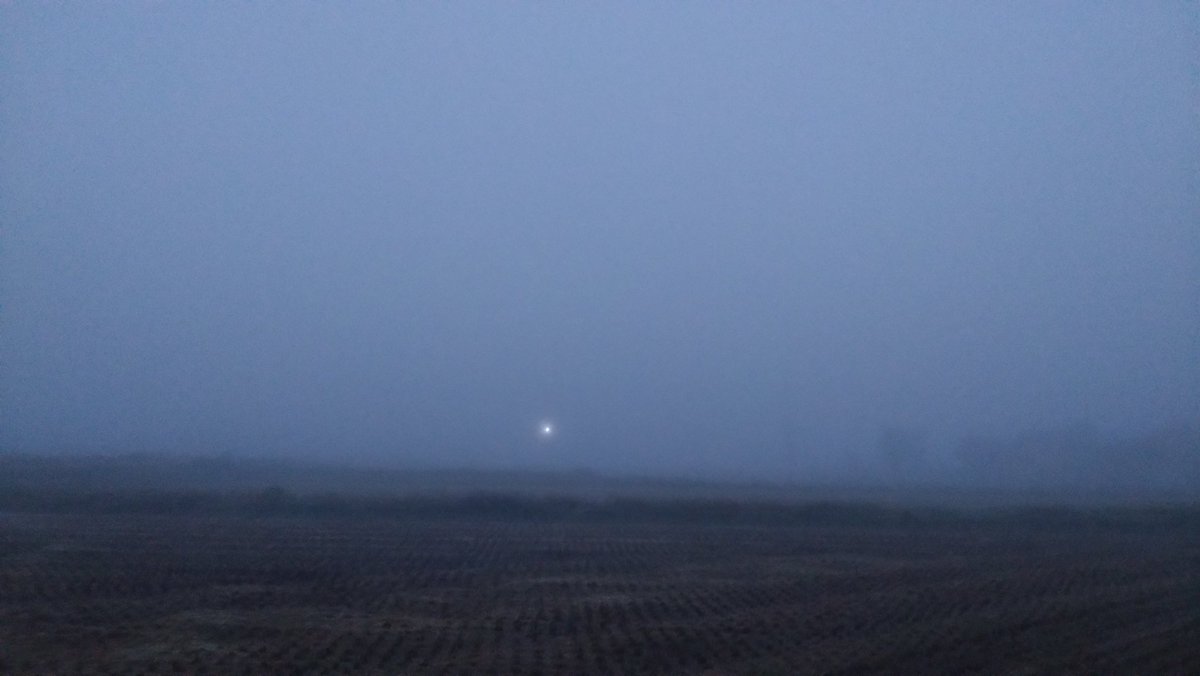 虎パパ@新ブリアリスト№000150 on X