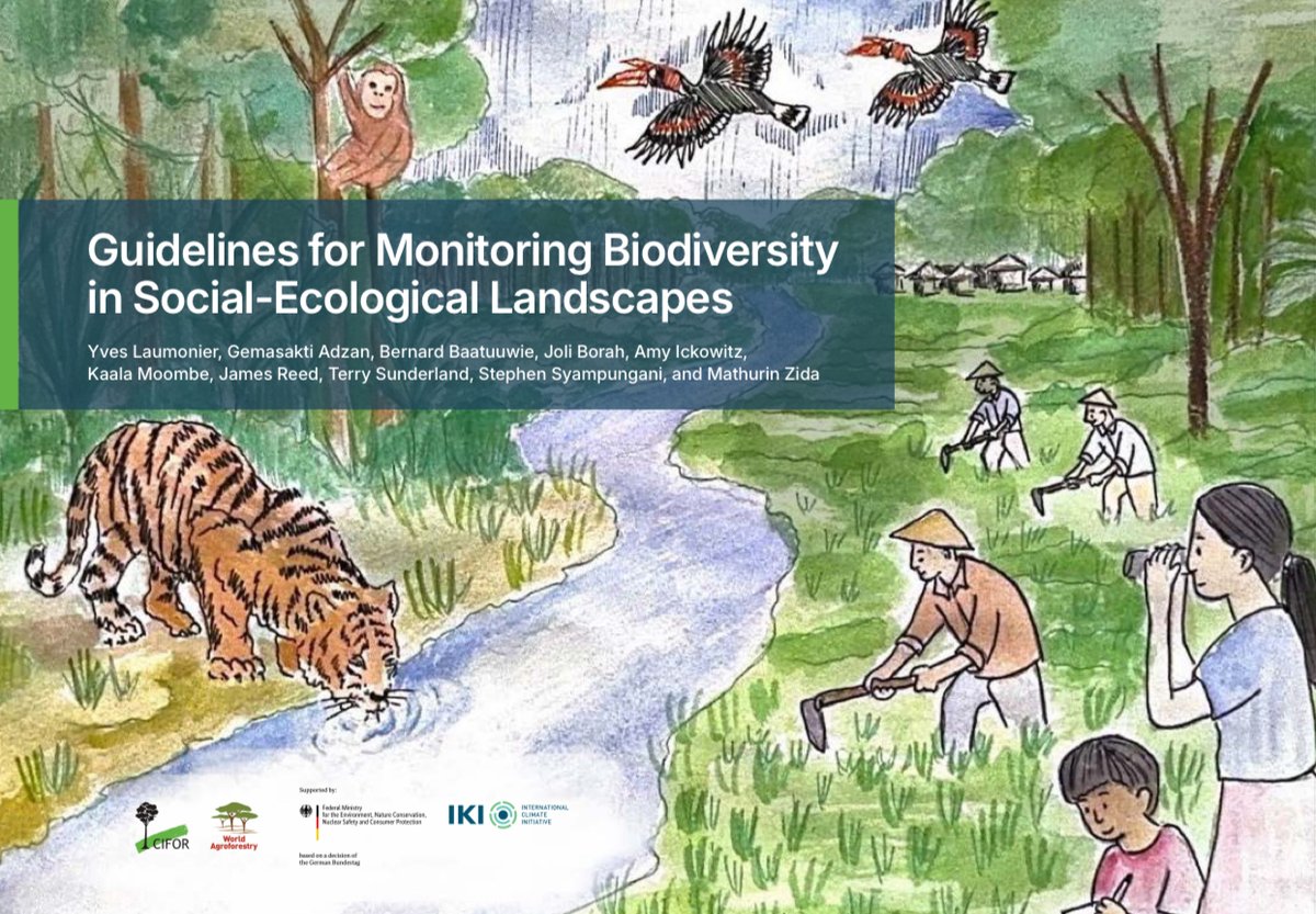 Biodiversity is declining fast, but better monitoring can help balance conservation and livelihoods.

Check out these new guidelines combining science and local knowledge for sustainable landscape management:🔗 bit.ly/3Ll5Cp2

#Trees4Resilience | <a href="/iki_germany/">IKI Germany</a>