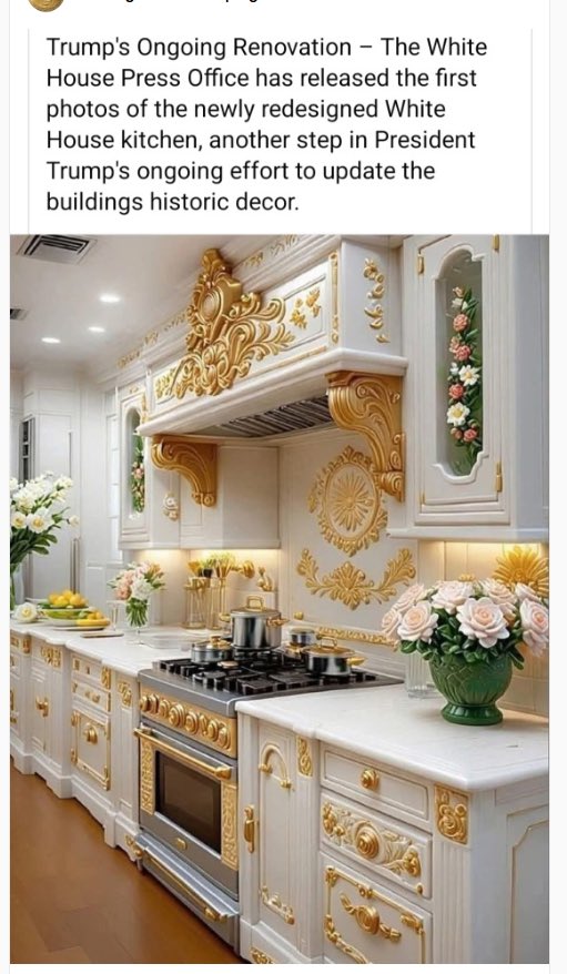 CattardSlim's tweet photo. While Trump starves millions of American children he's busy remodeling the Whitehouse kitchen for his taxpayer funded chefs. https://t.co/kwB8ROycI9
