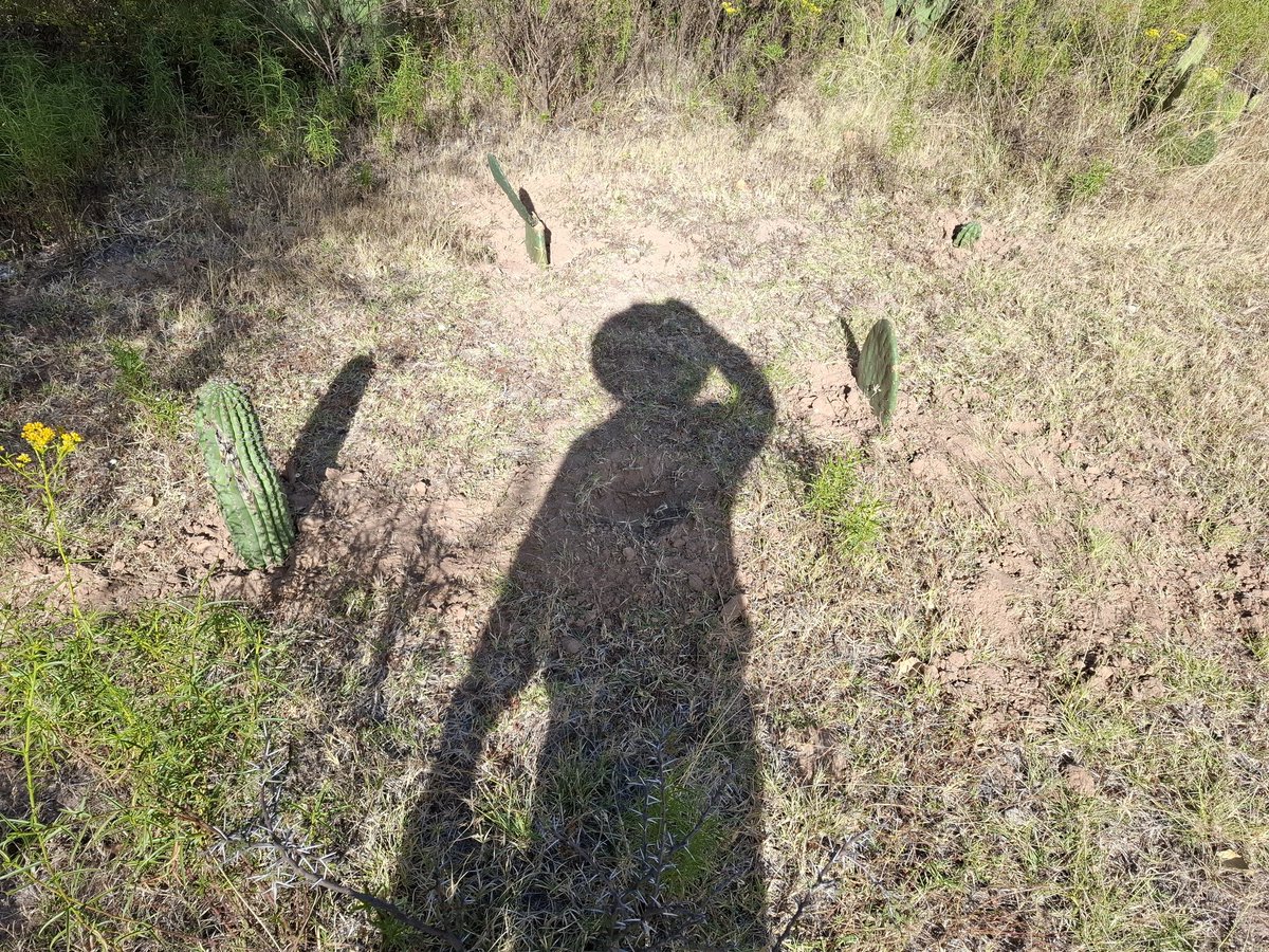 Sembrando esperanza.