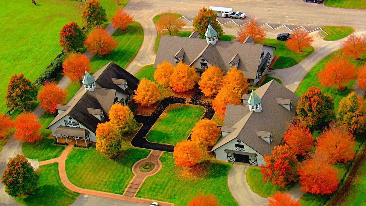 Fall colors and Horse farms. That’s a winning combination.  So many pics…hard to choose just 4!  <a href="/WLKY/">WLKY</a>  <a href="/WLKYChopperBill/">Bill DeReamer</a>